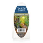 Autumn Nature Walk wax melt surfboard