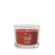 autumn daydream yankee candle minis