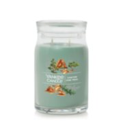 canyon pine trail signature large jar candle with lid
