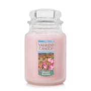 desert blooms original large jar candle with lid
