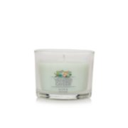 aloe & agave yankee candle® minis