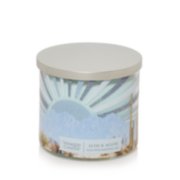 Aloe & Agave 3-Wick Candle