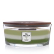 evergreen and frasier fir and wood smoke trilogy ellipse jar candle