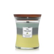 white willow moss and evening onyx and lemongrass trilogy medium jar candle