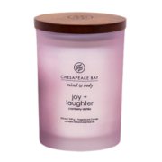 chesapeake bay candle mind and body collection joy and laughter cranberry dahlia medium jar candle