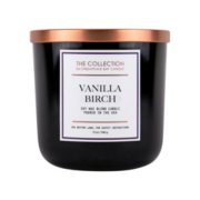 vanilla birch medium 2 wick tumbler candle