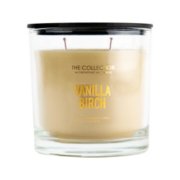 vanilla birch medium 2 wick tumbler candle