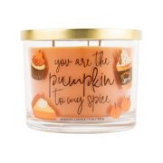you are the pumpkin to my spice pumpkin pie chesapeake bay candle 3 wick jar candle