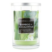bamboo eucalyptus aromascape collection large jar candle