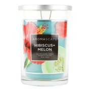 hibiscus melon aromascape collection large jar