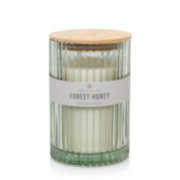 forest honey minimalist collection large jar candle