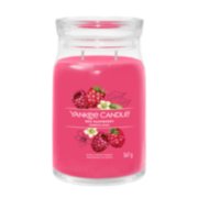 Yankee Candle 1521592E Deodoranti per Auto, Car Vaso Ultimate, Red  Raspberry : : Auto e Moto