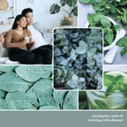 Refreshing Eucalyptus & Mint image number 1