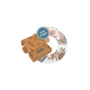 fragrance flight wheel with floral and sweet and spicy imagery