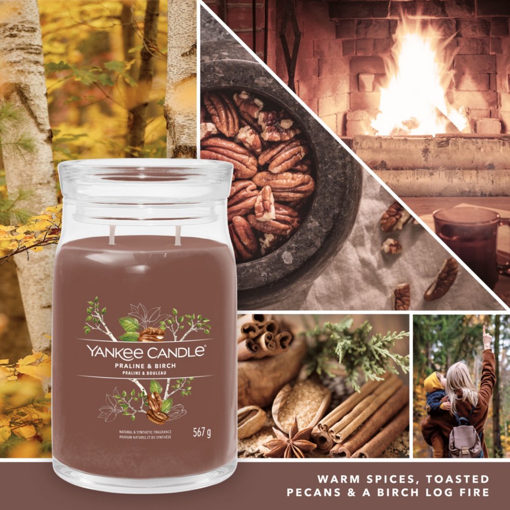 Praline u0026 Birch Signature Large Jar Candle - Signature Large Jar Candles |  Yankee Candle