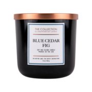 the collection blue cedar fig medium 2 wick tumbler candle