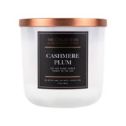 cashmere plum medium 2 wick tumbler candle
