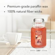 cinnamon stick original large jar candle with product information image number 3