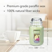 pineapple cilantro original large jar candle with product information image number 3