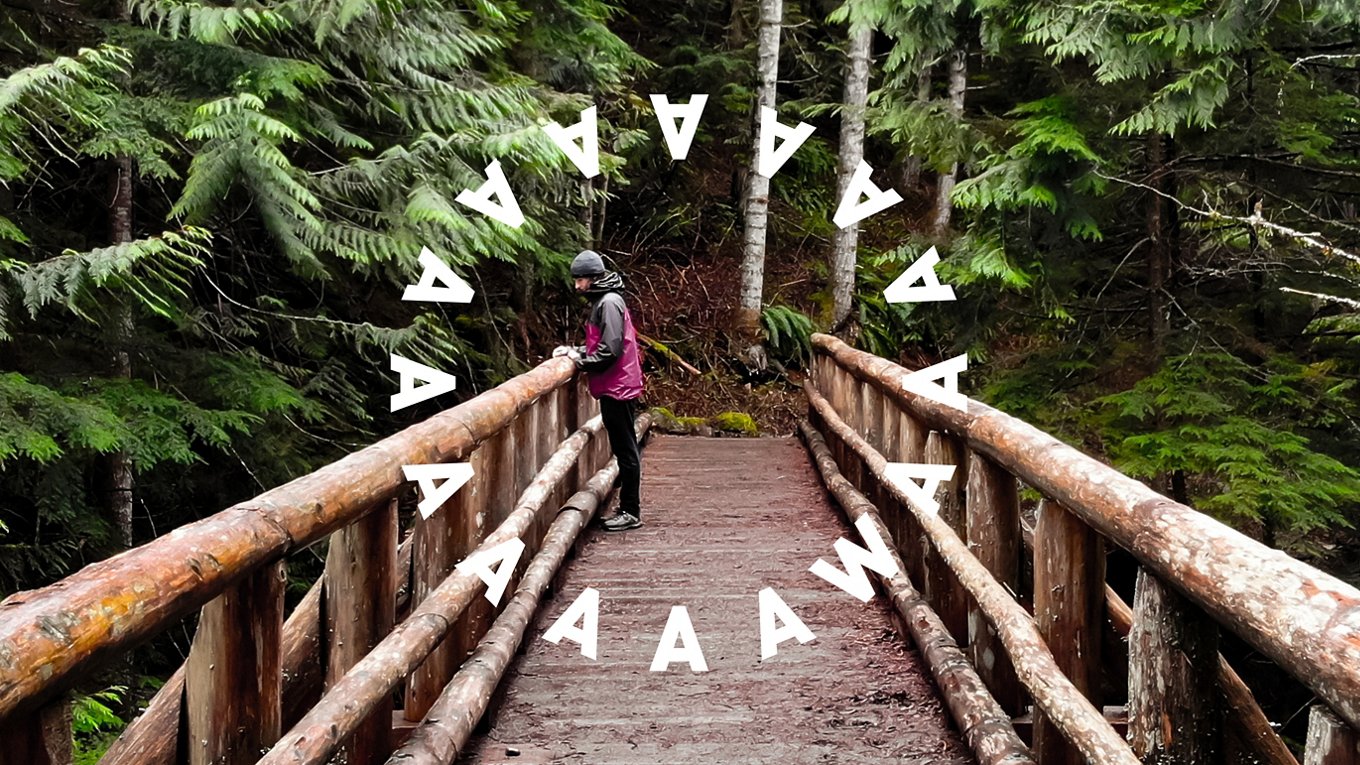 Female hiker on bridge in deep green evergreen forrest