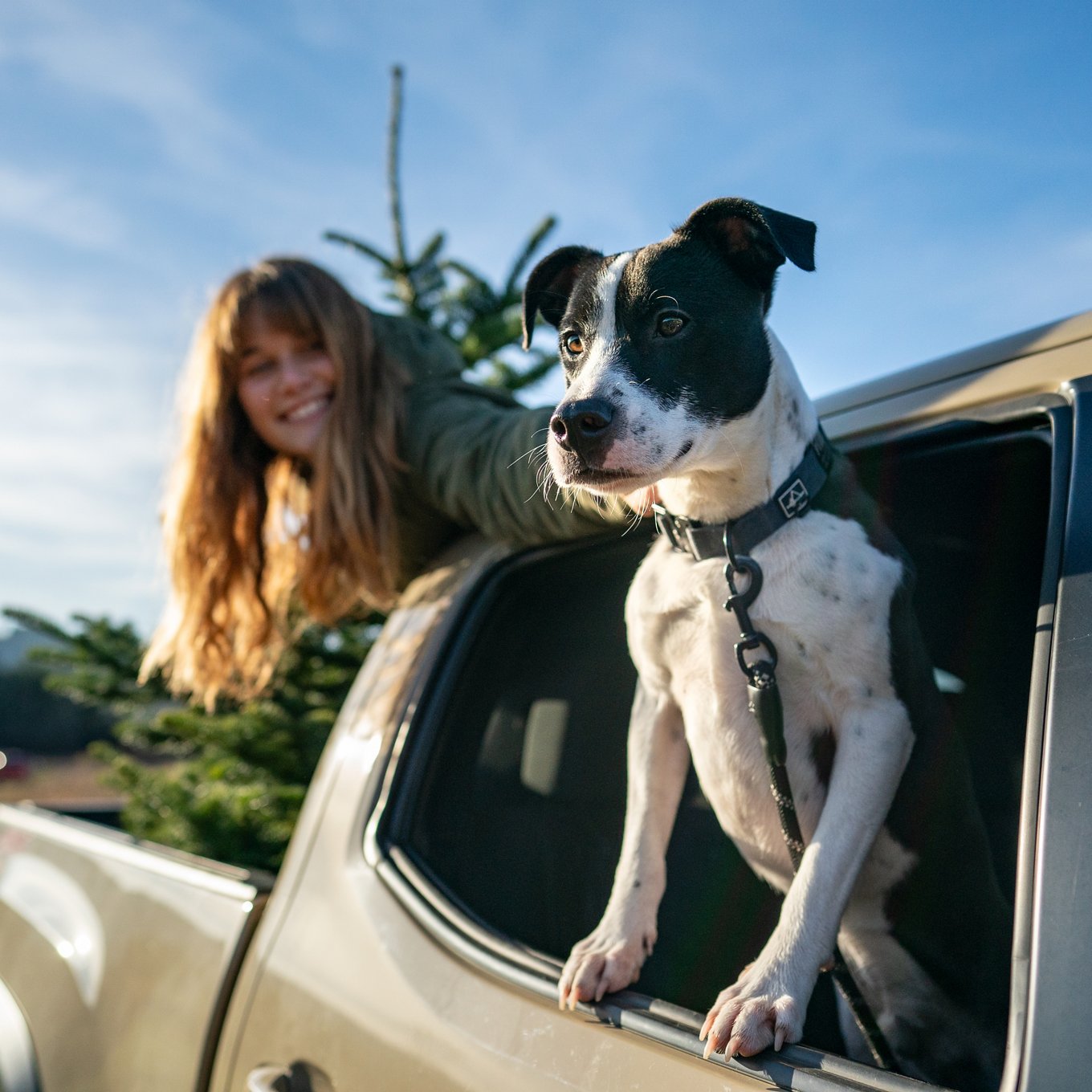woman and dog looking out car window