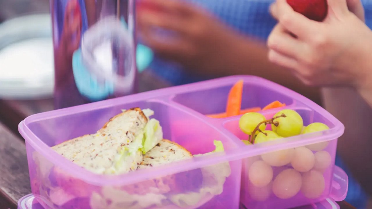 purple bento-box with sandwich and grapes