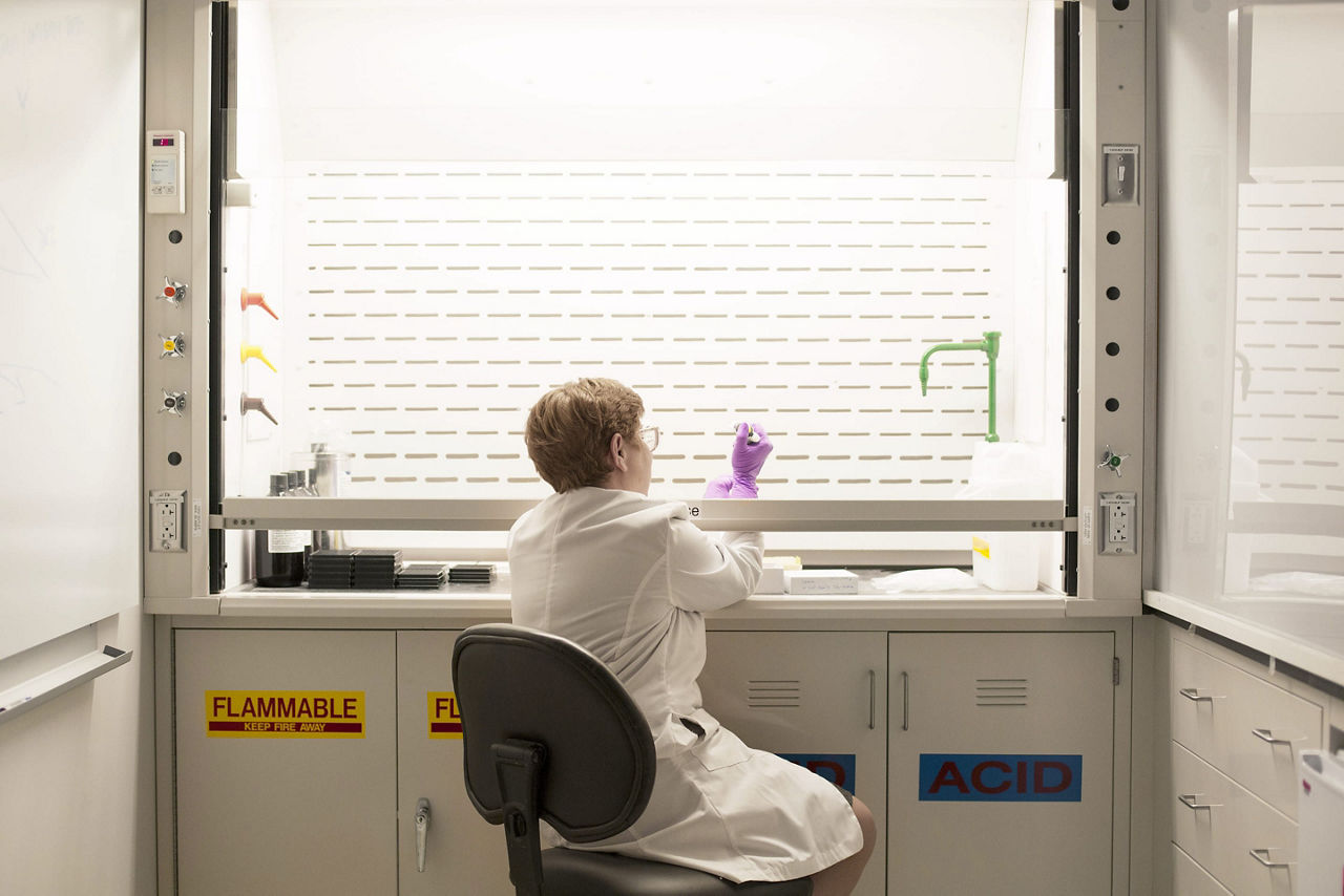 scientist observing data in a lab on the display
