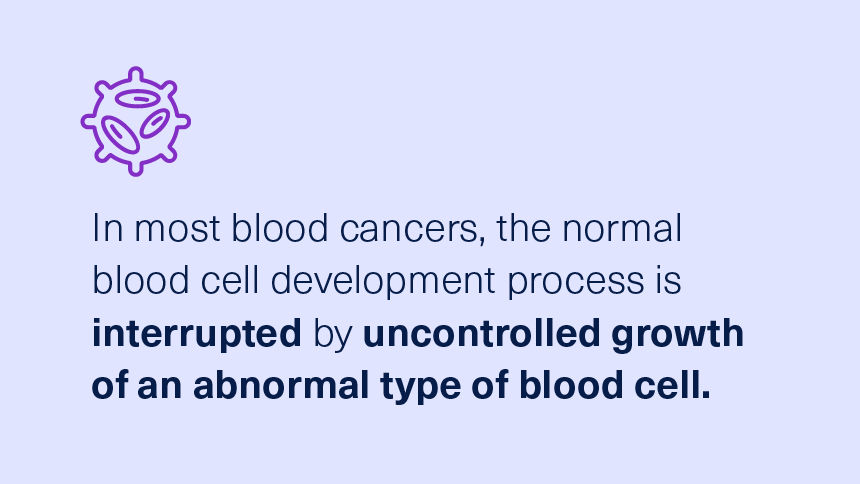  A renaissance in blood cancer treatment