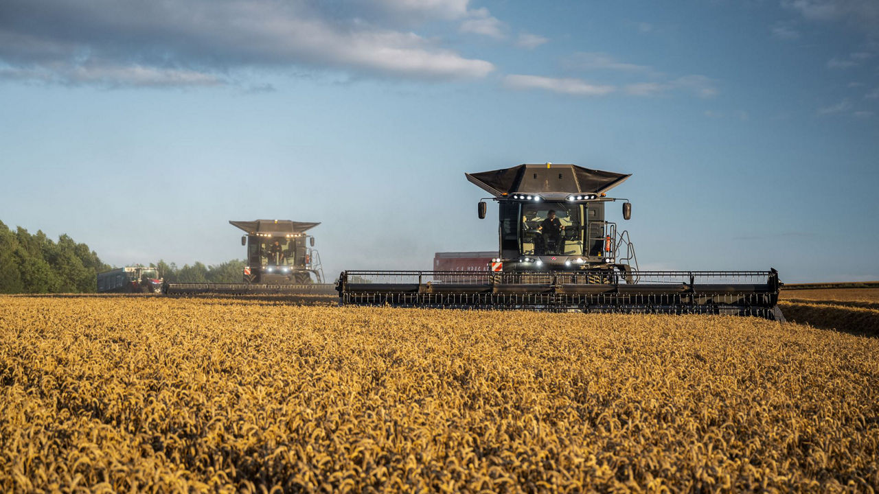 Combine Harvesters in Wheat Field