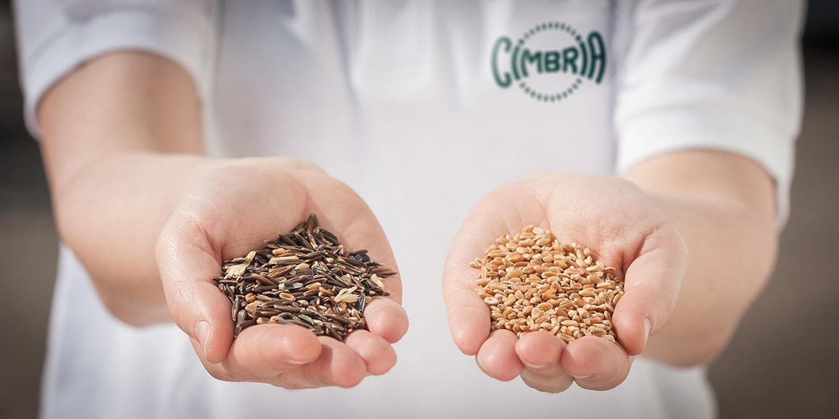 2016 Cimbria logo on shirt of  person holding grains and seeds