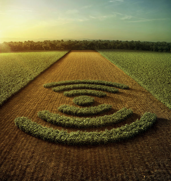 2900x3000 RTK (1).jpg