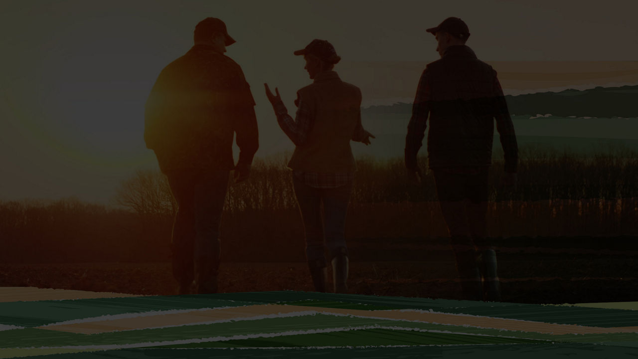 Three farmers discussing their work