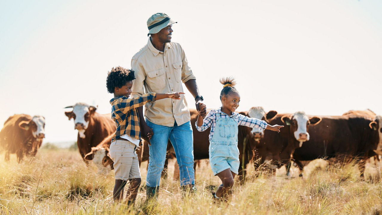 A livestock farmer in a field with his children and cattle 