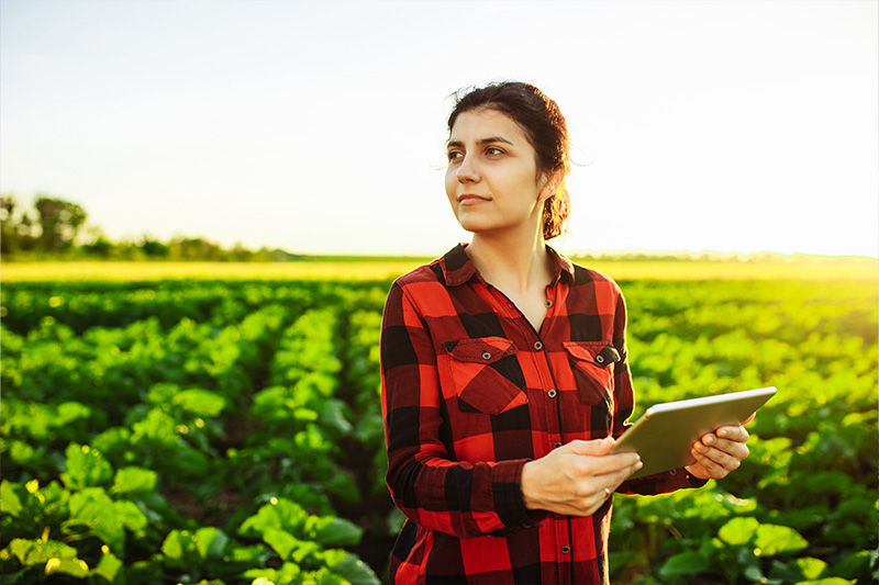 A PTx farmer in a farm field