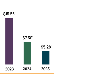 Adjusted Earnings Per Share*