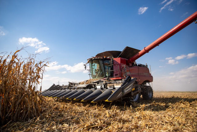 OEM Case IH combine with retrofit Geringhoff head.