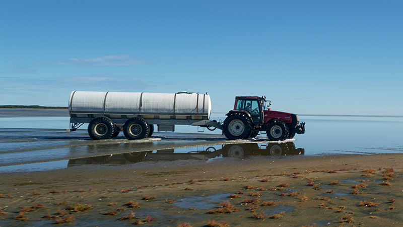 Læsø_1_800x450.jpg