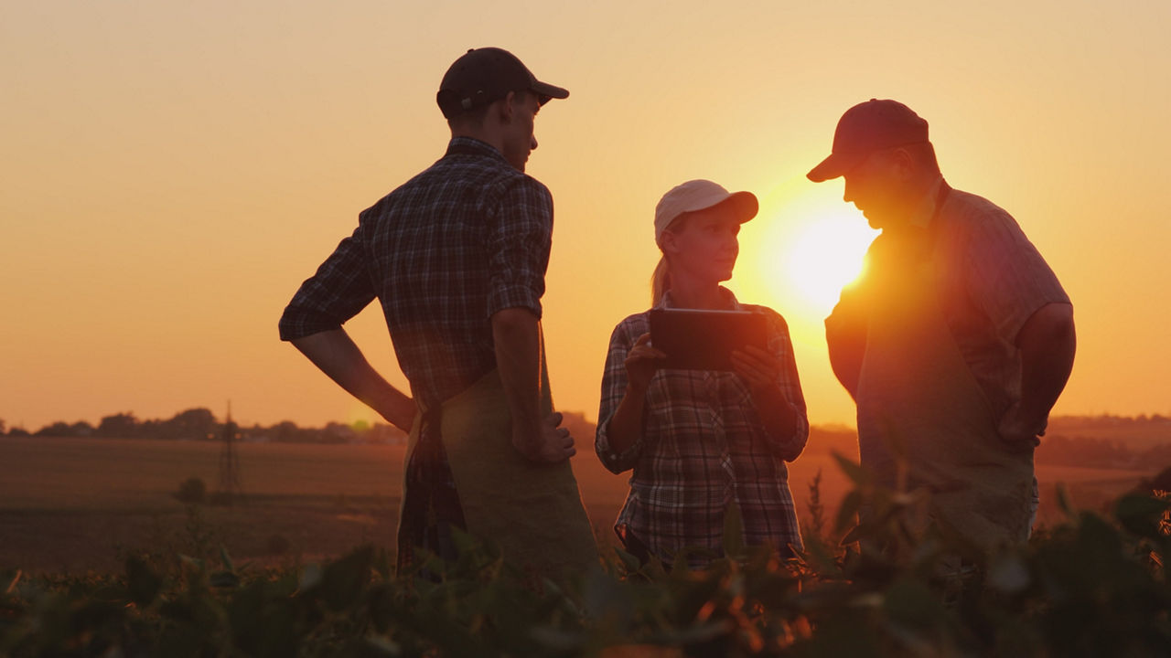 AGCO images