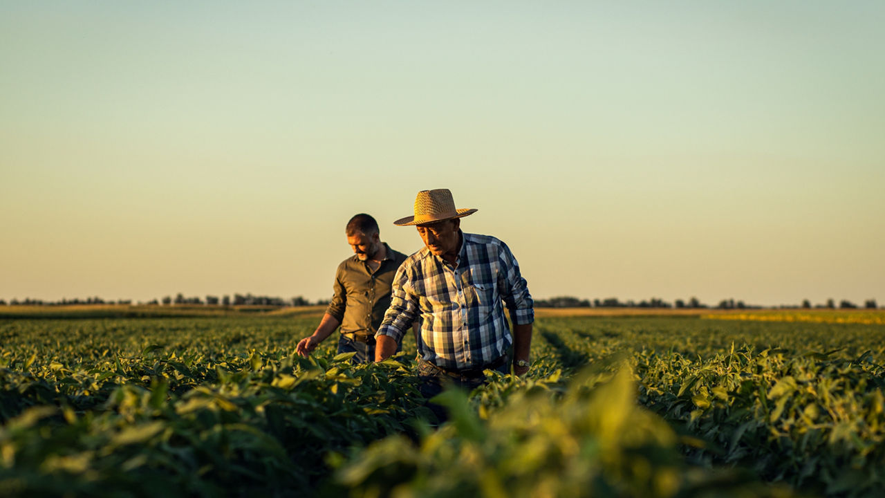 Resource hub graphic