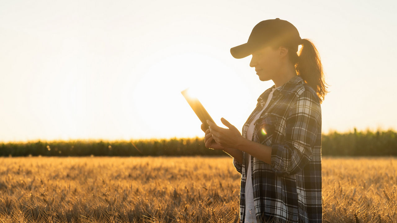 Female farmer in plaid shirt and baseball cap standing in wheat field holding iPad.
