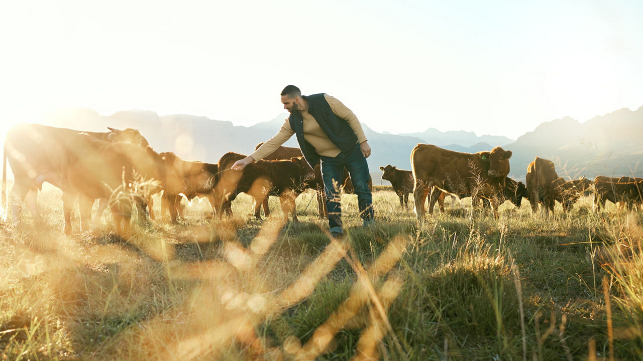AGCO images