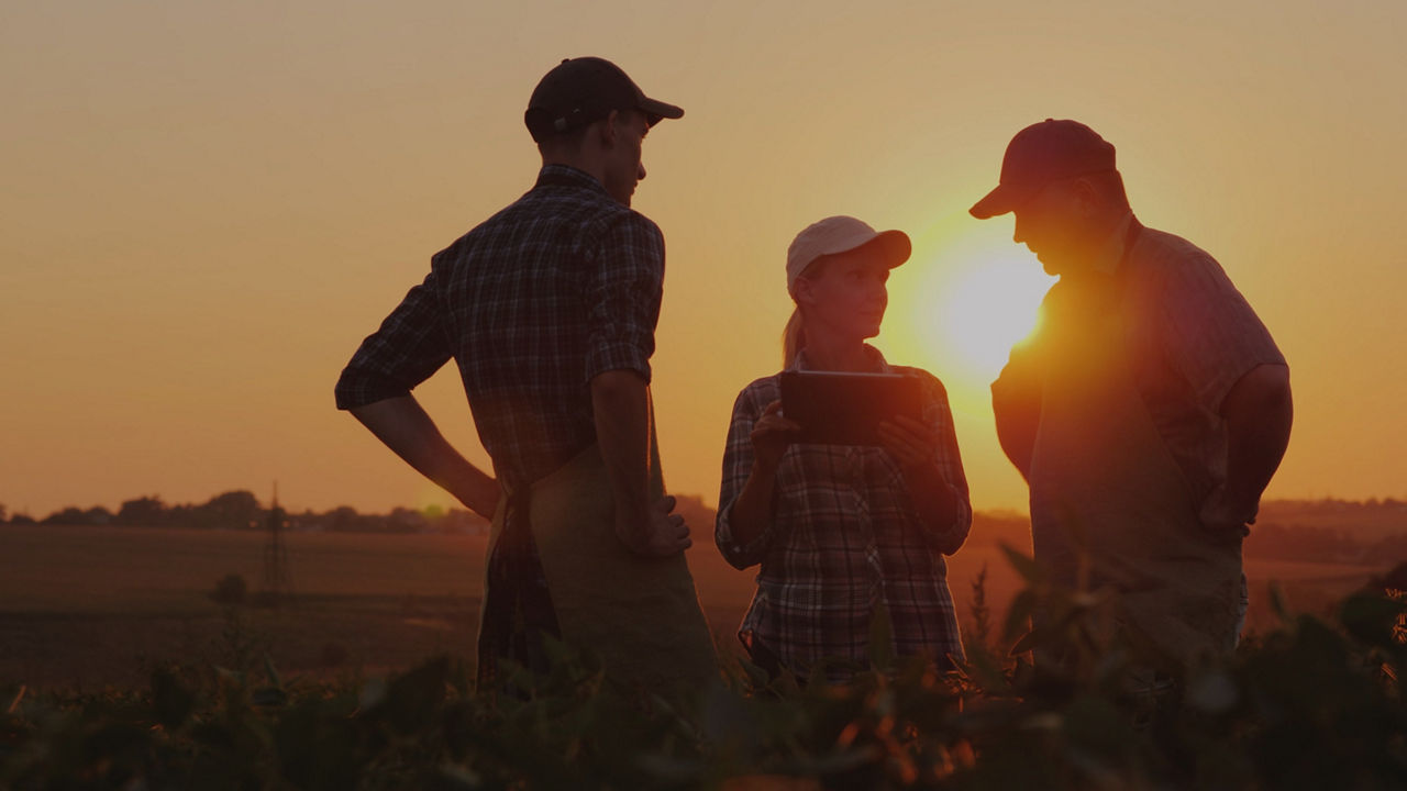 Three farmers discussing data from an iPad while silhouetted by the setting sun