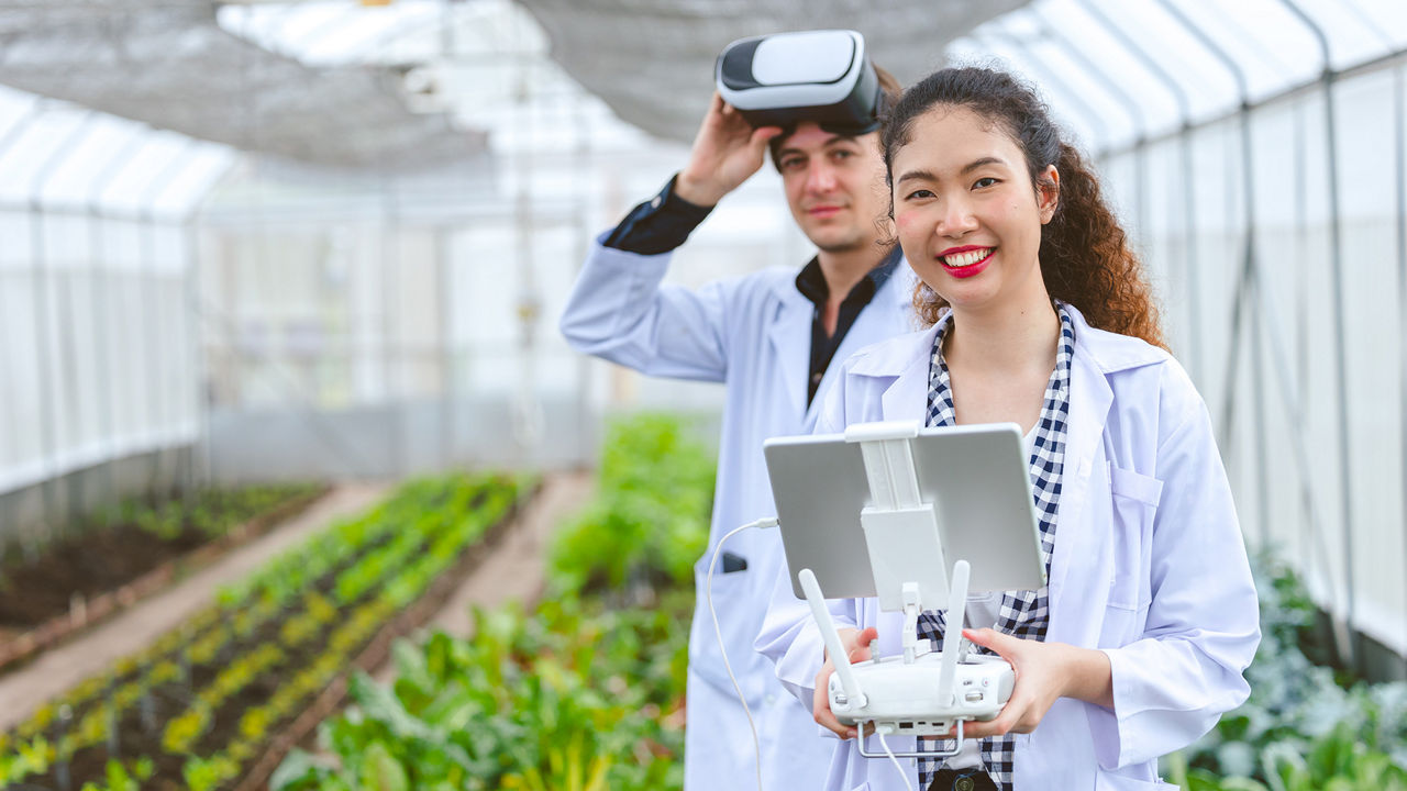 Researcher using drone controller with fly view glasses monitor plant growing in Agriculture farm.