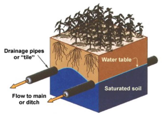 How Tile Drainage Drastically Transforms Field Performance