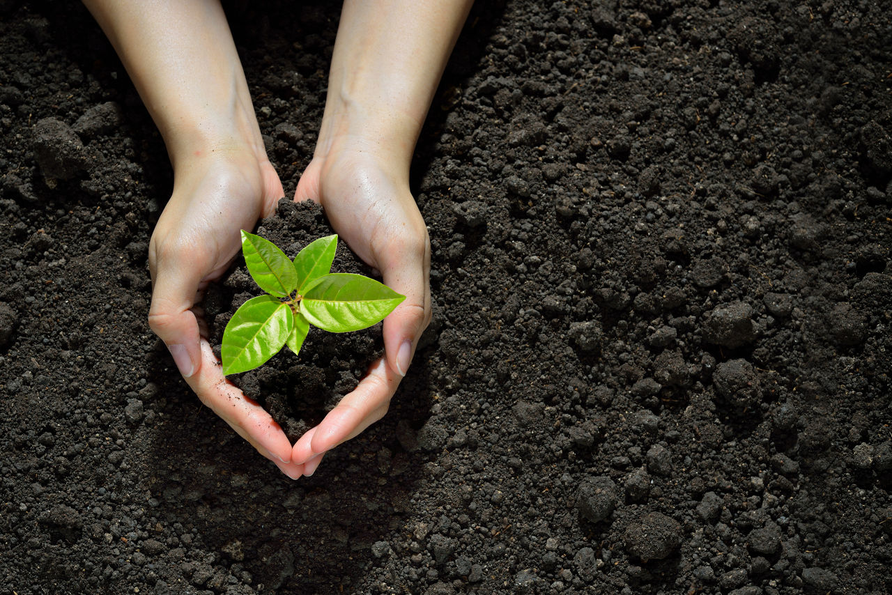 Sustainability Governance Hero