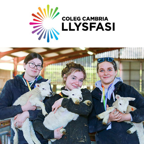 A male and two female agricultural students holding lambs in their arms