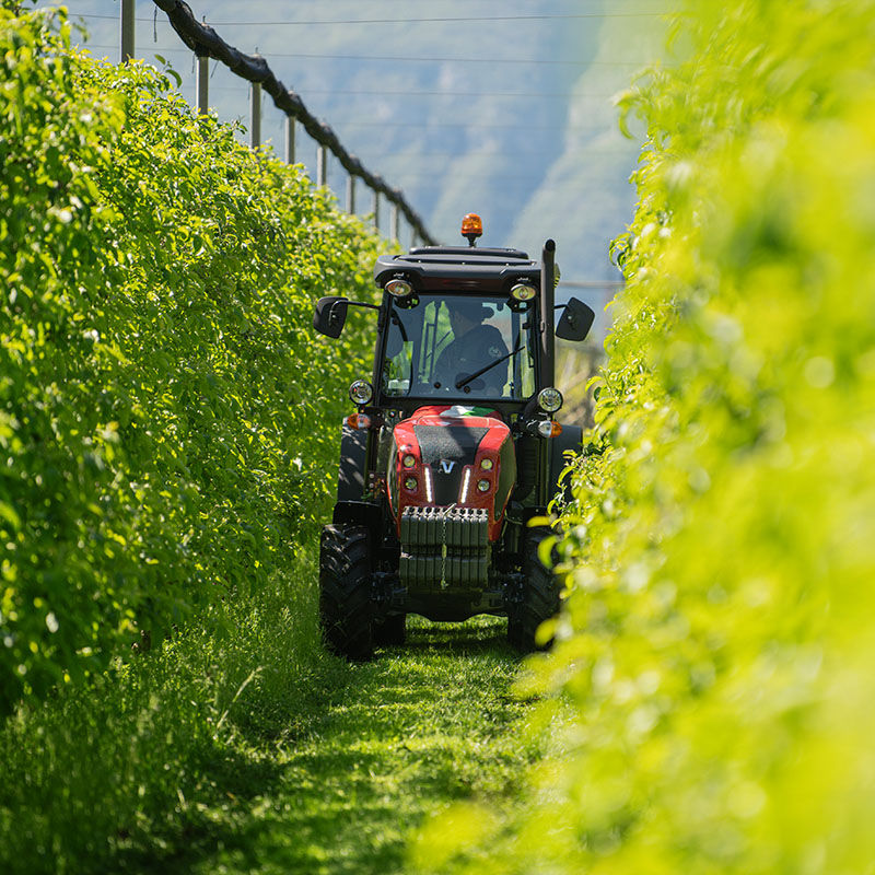 Valtra F-Serie bi der Behandlung von Weinreben