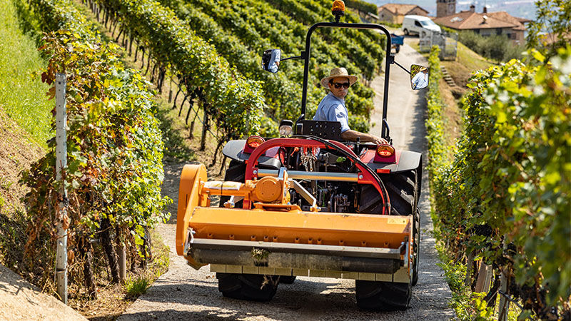 A red Valtra F Series with Roll Over Protection System working in a vineyard