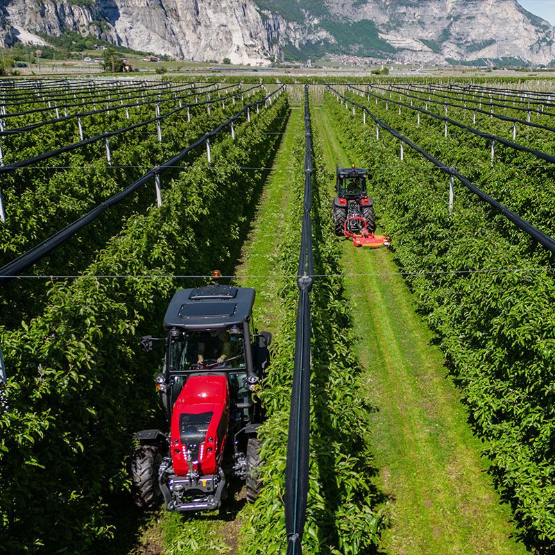 Valtra F-Serie als Schmalspurmodell im Weinberg