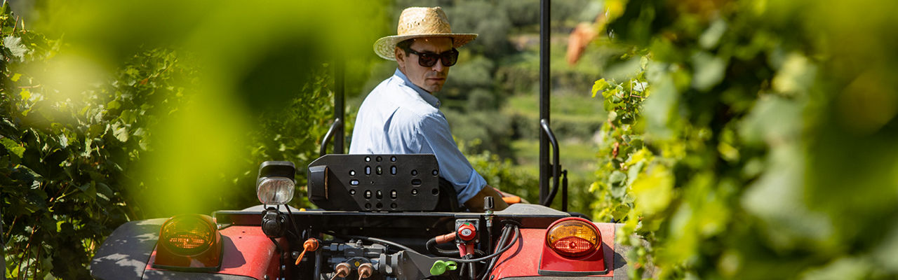 Valtra-F-Series-vineyard-tractor.jpg